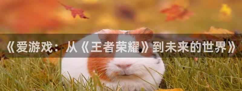 pp电子工坊：《爱游戏：从《王者荣耀》到未来的世界》