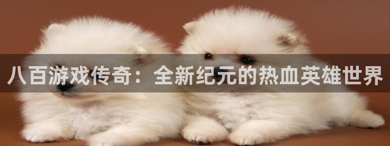 pp电子官网平台怎么样可靠吗：八百游戏传奇：全新纪元的热血英雄世界