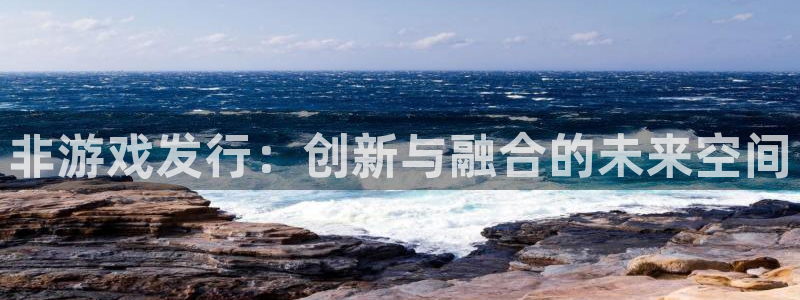 pp电子技术有限公司招聘：非游戏发行：创新与融合的未来空间
