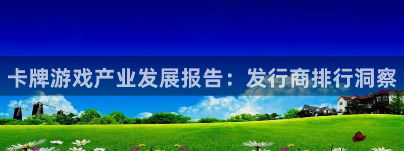 pp电子子酒业：卡牌游戏产业发展报告：发行商排行洞察