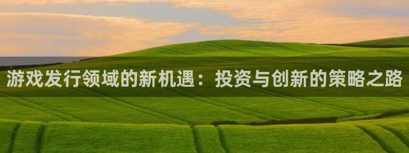 pp电子官网奇趣腾讯分分彩：游戏发行领域的新机遇：投资与创新的策略之路