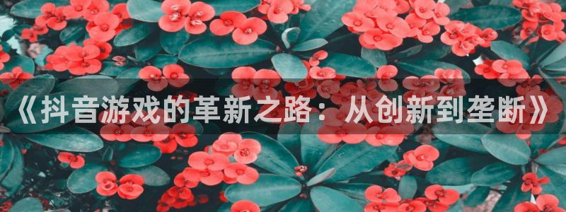 pp电子子经理人杂志：《抖音游戏的革新之路：从创新到垄断》