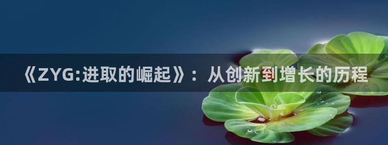 pp电子官网平台怎么样可靠吗：《ZYG:进取的崛起》：从创新到增长的历程