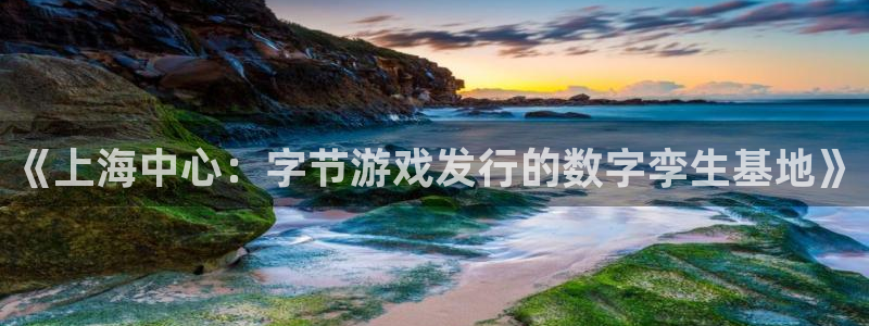 pp电子子怎么来的：《上海中心：字节游戏发行的数字孪生基地》