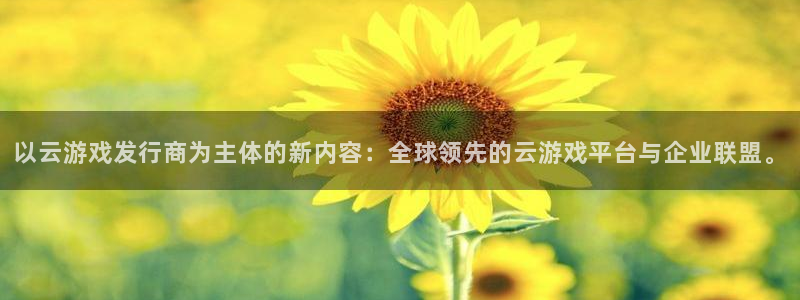 pp电子集团有限公司