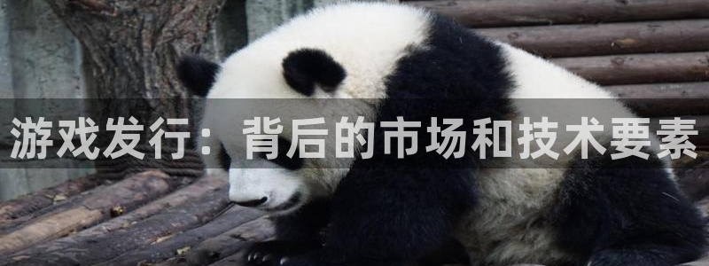 江苏pp电子智得新材料有限公司：游戏发行：背后的市场和技术要素