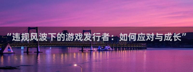 pp电子官网注册登录不了：“违规风波下的游戏发行者：如何应对与成长”