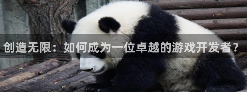 pp电子电子商务有限公司怎么样知乎：创造无限：如何成为一位卓越的游戏开发者？