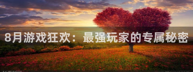pp电子电商怎么样可靠吗：8月游戏狂欢：最强玩家的专属秘密