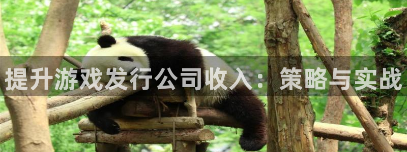 pp电子官网注册平台是什么意思：提升游戏发行公司收入：策略与实战