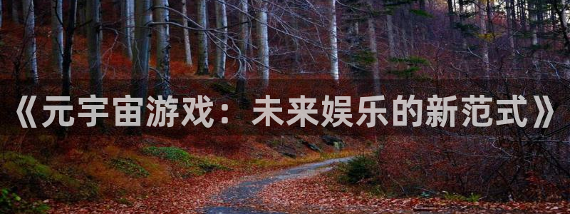 长沙pp电子子电子商务有限公司：《元宇宙游戏：未来娱乐的新范式》