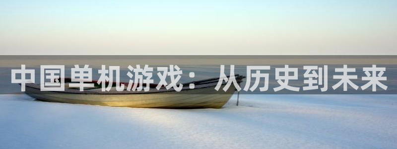 pp电子子赚话费：中国单机游戏：从历史到未来