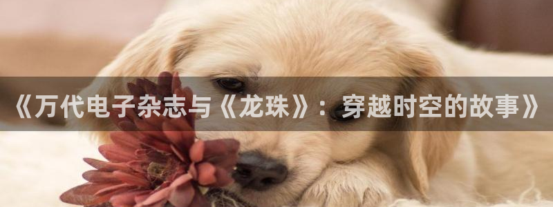 广东pp电子营销策划有限公司：《万代电子杂志与《龙珠》：穿越时空的故事》