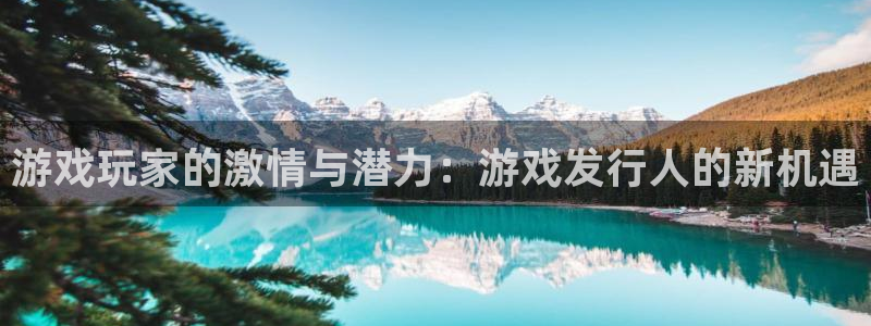 pp电子官网平台代理条件是什么：游戏玩家的激情与潜力：游戏发行人的新机遇