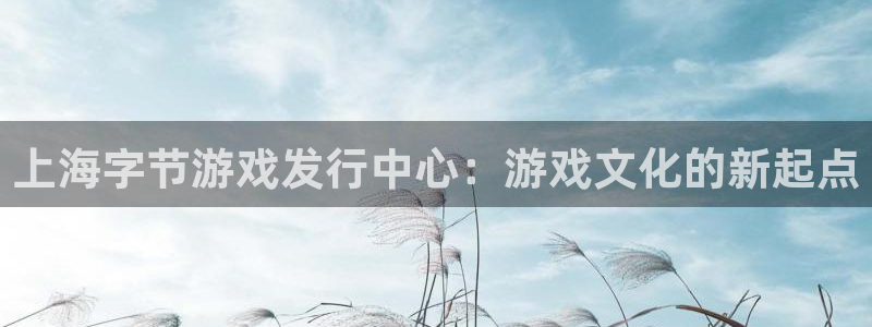 pp电子子图片高清图片：上海字节游戏发行中心：游戏文化的新起点