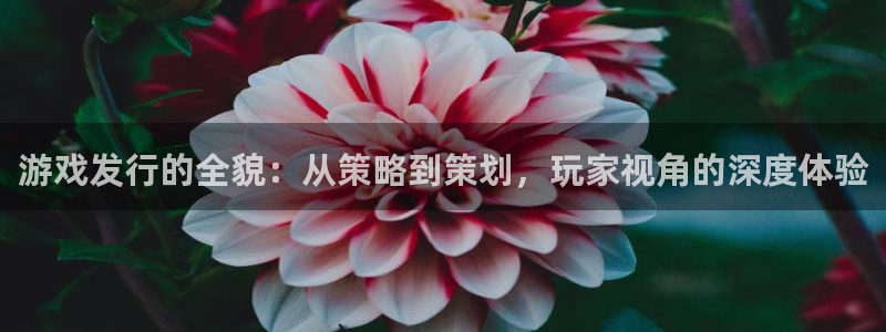 pp电子官网登录注册账号安全吗：游戏发行的全貌：从策略到策划，玩家视角的深度体验