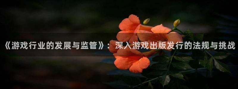 pp电子啤酒怎么样：《游戏行业的发展与监管》：深入游戏出版发行的法规与挑战