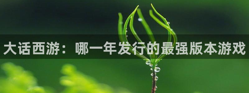 苏州pp电子网络科技有限公司：大话西游：哪一年发行的最强版本游戏